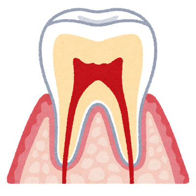 歯の知覚過敏について
